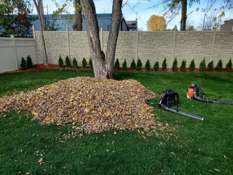 Large raked leaf pile under a backyard tree with two backpack leaf blowers