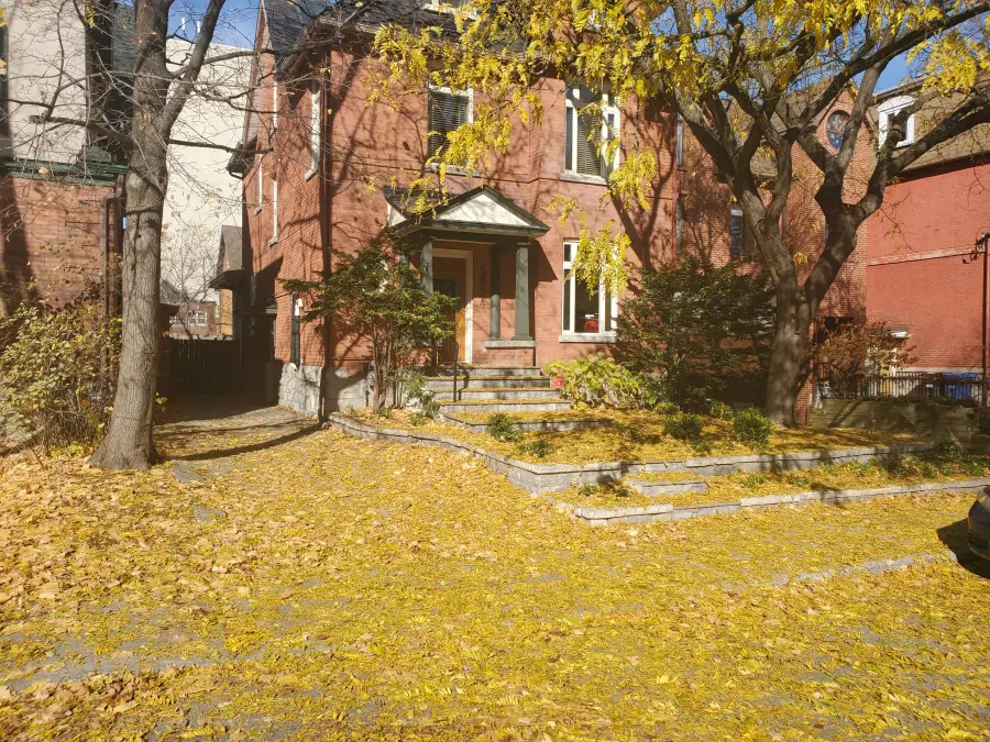 Front yard and interlock steps blanketed in fallen yellow leaves before cleanup