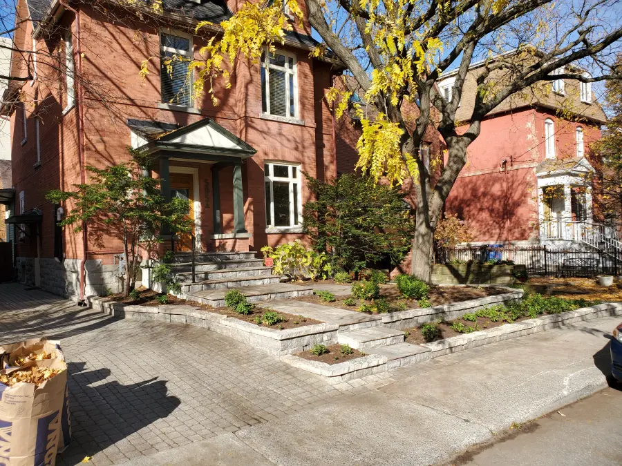 The same yard cleared of leaves, walkway and garden beds visible again