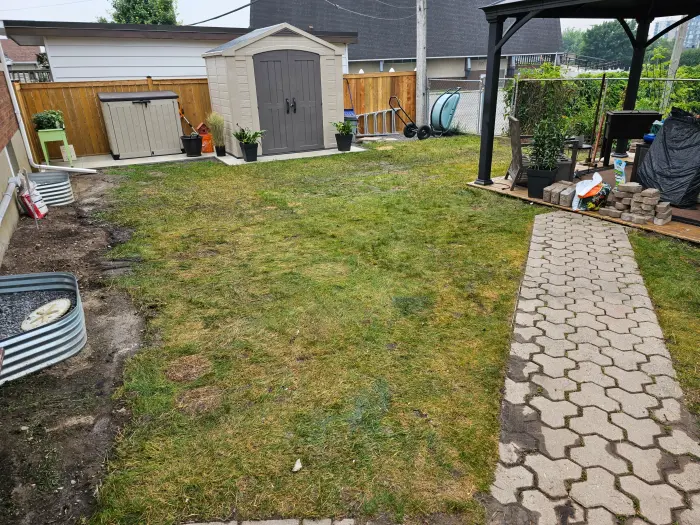 Backyard lawn beside a shed and hexagonal paver walkway, thin and patchy with bare soil showing through