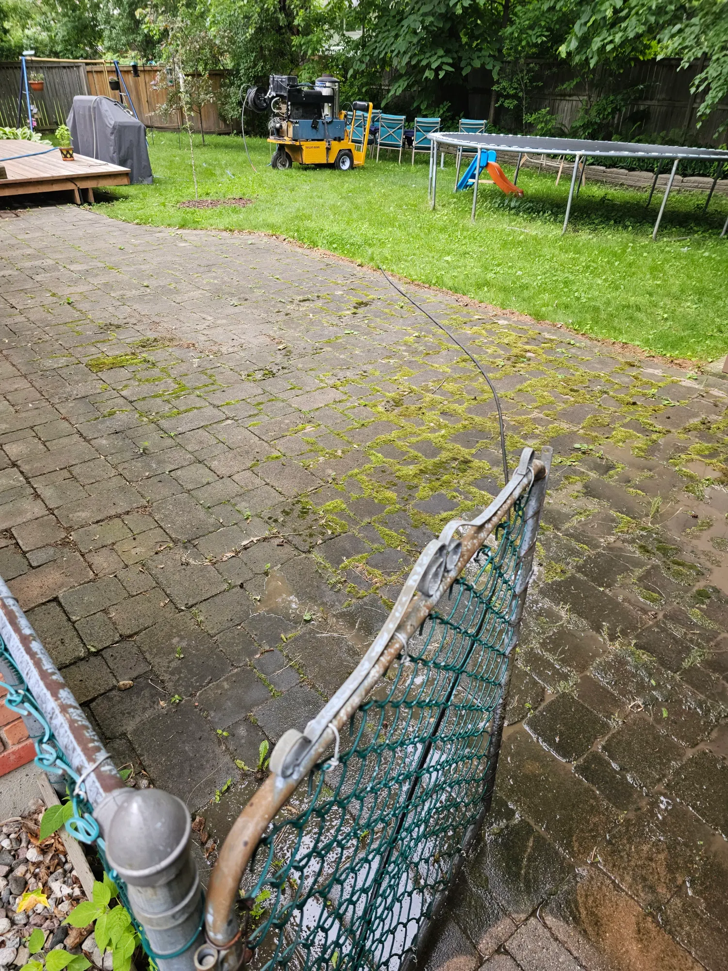 Steam wand treating moss and weeds along a paver path
