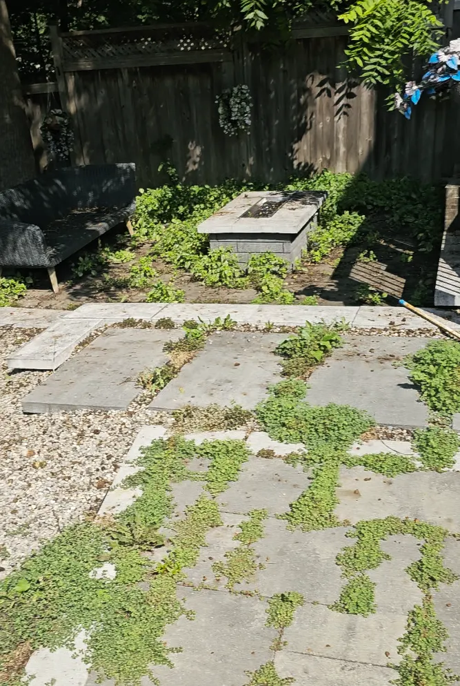 Large-format paver patio overrun with weeds through every joint, fire table and dark fence behind