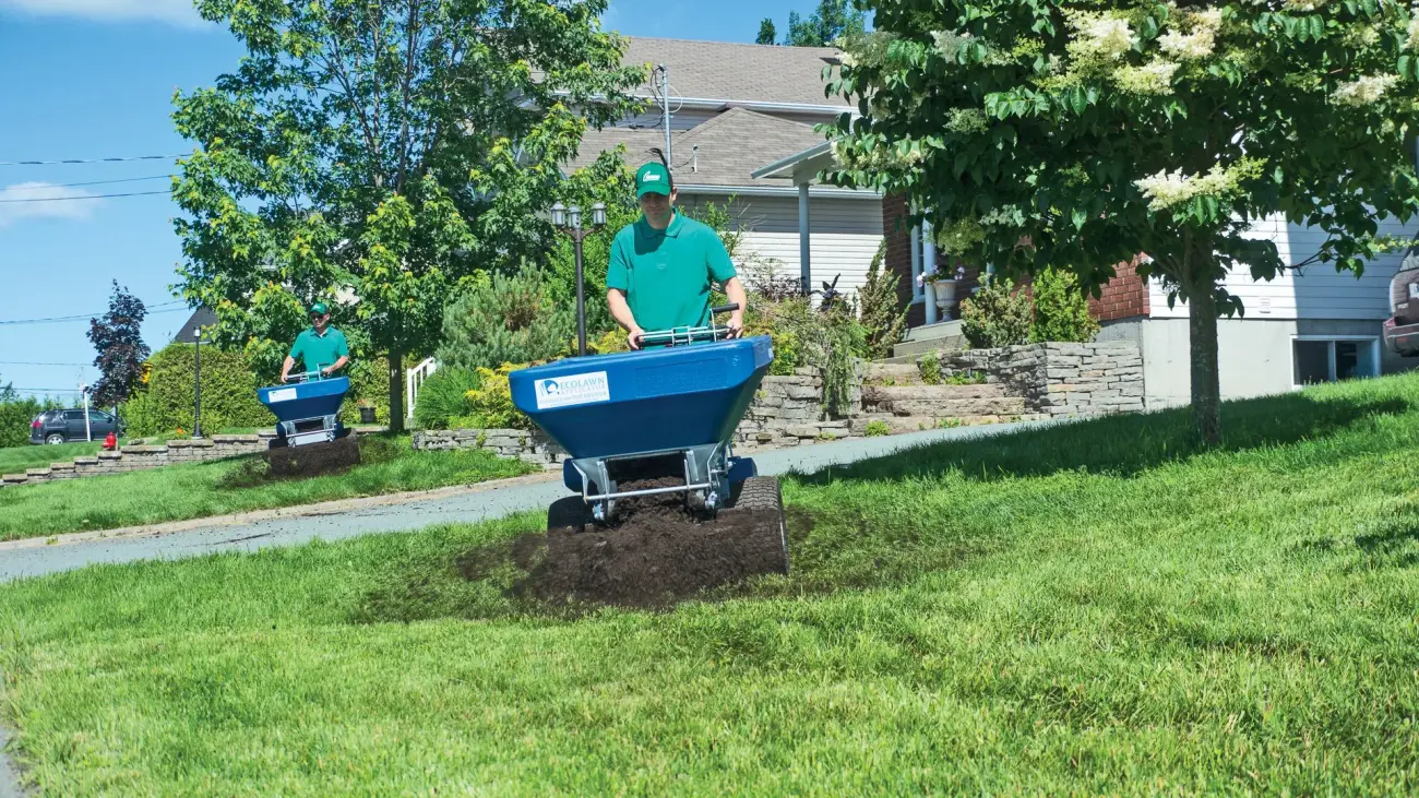 Compost topdressing being applied with EcoLawn spreaders