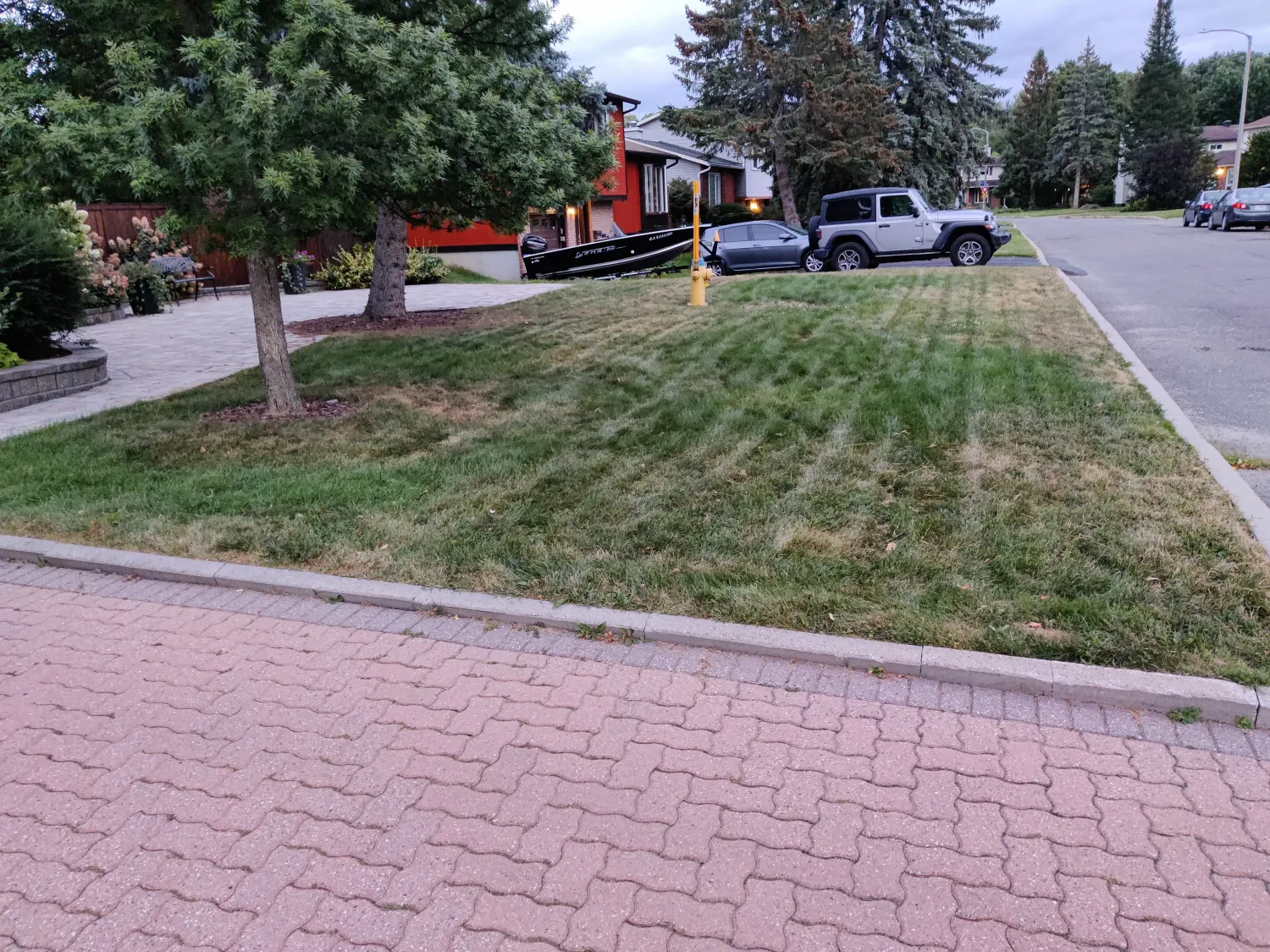 Corner front lawn thin and patchy with pale worn areas, wavy paver driveway in the foreground and a yellow fire hydrant at the curb