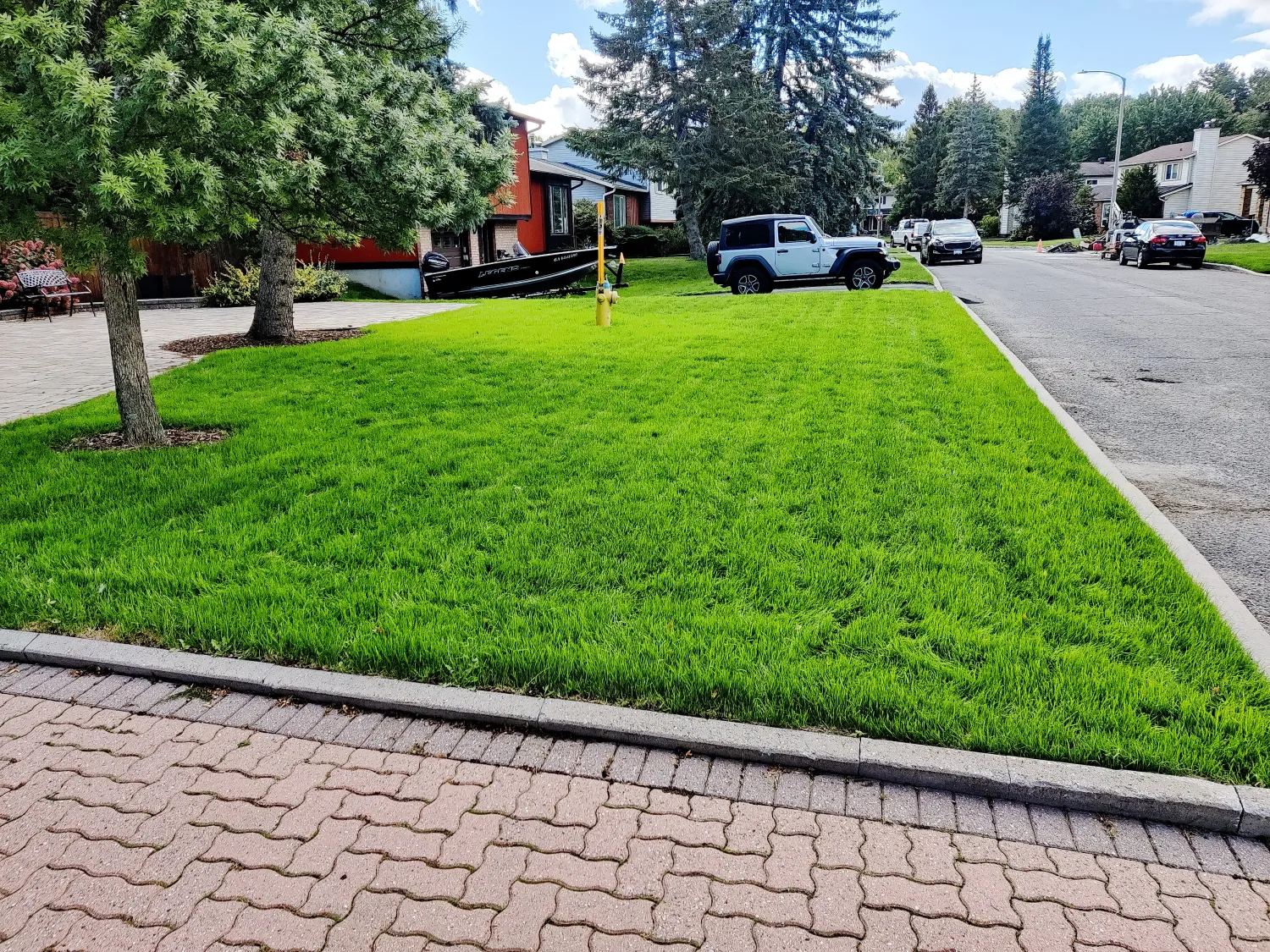 The same front lawn twenty-six days later, thick and uniformly green, same hydrant and same paver driveway