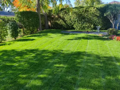 Mown lawn showing clean mowing stripes
