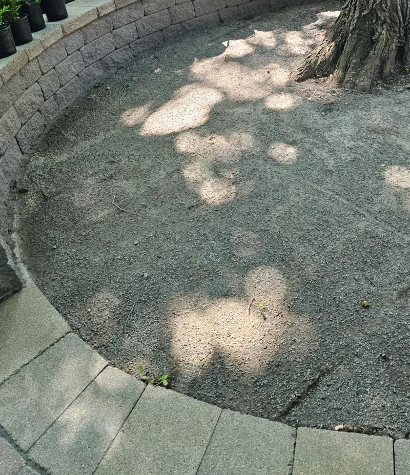 Curved area around a tree being filled with fresh dark aggregate during permeable conversion