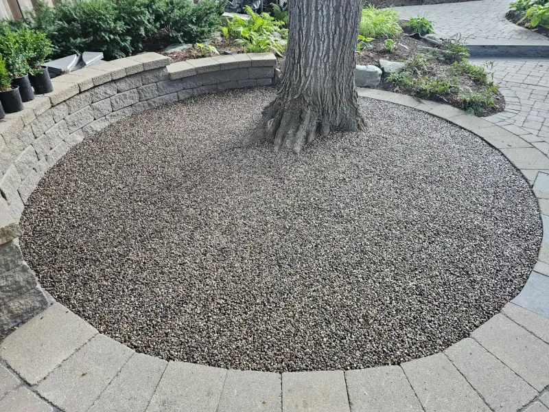 Finished circular pea-gravel tree ring bordered by pavers and a stone wall