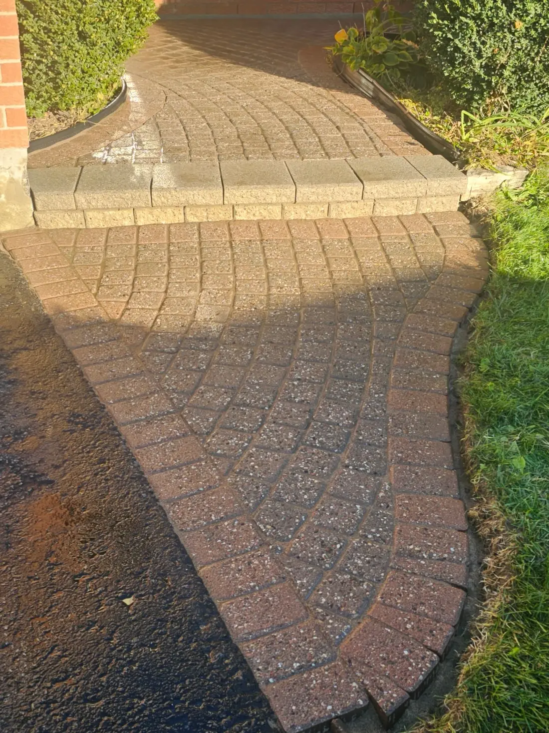 Interlock pavers after a Natural Finish restoration
