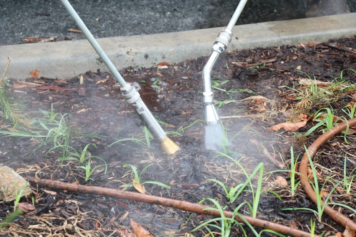 Steam lances applying saturated steam to weeds along a curb