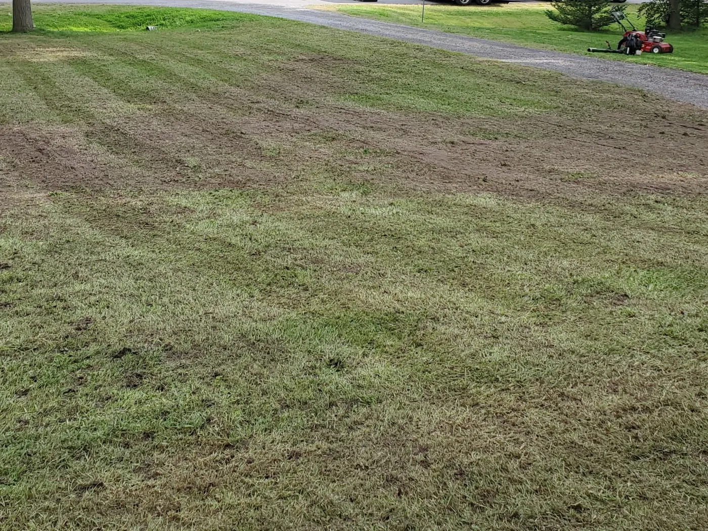 Lawn showing the stripe rows left by an aeration and seeding pass, red mower in the background