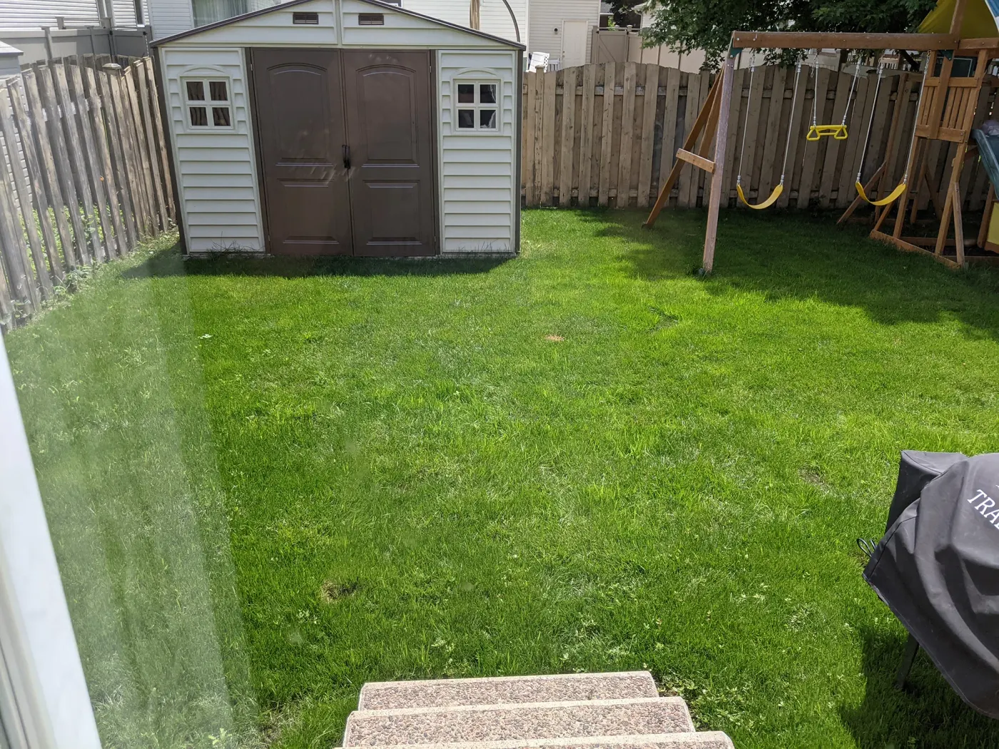 Lush new backyard lawn beside shed and playset after renovation