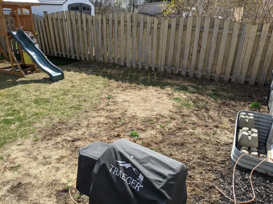 Patchy, bare-spotted backyard lawn before restoration