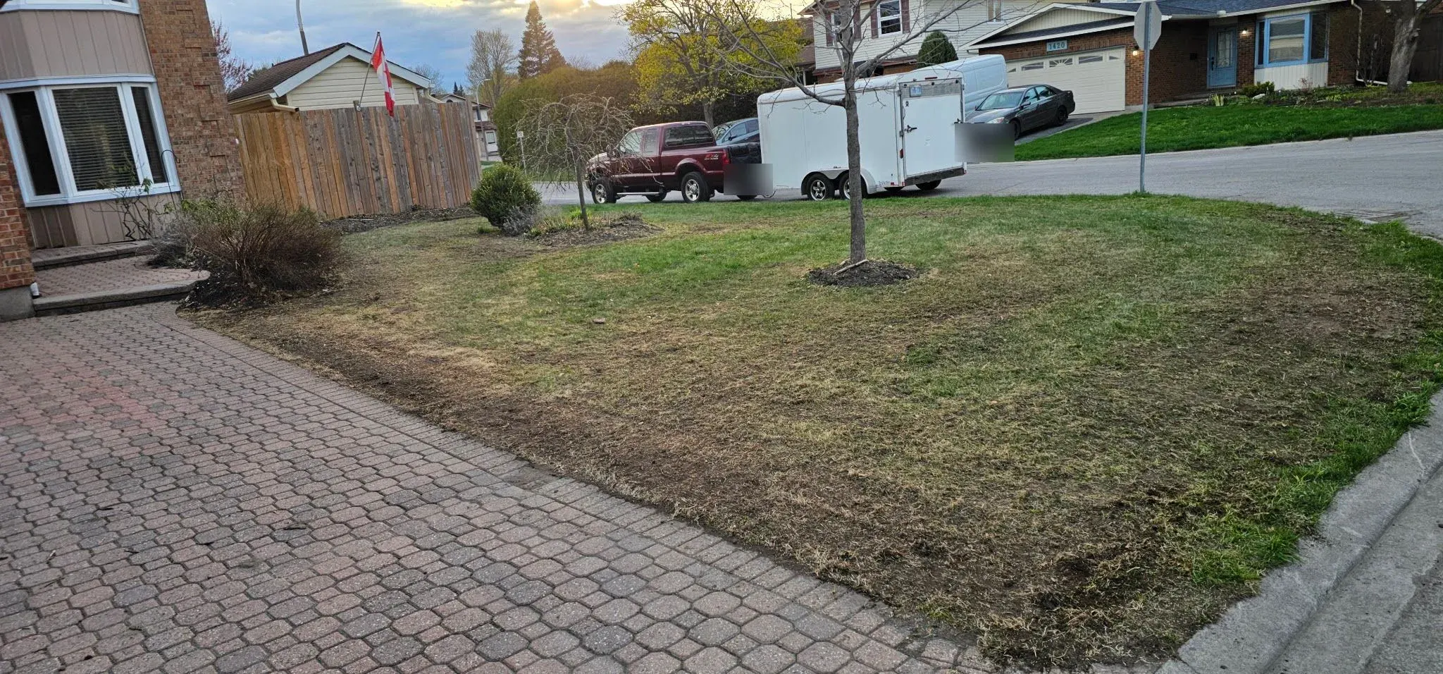 Pelouse d'un terrain de coin, clairsemée et aplatie au début du printemps