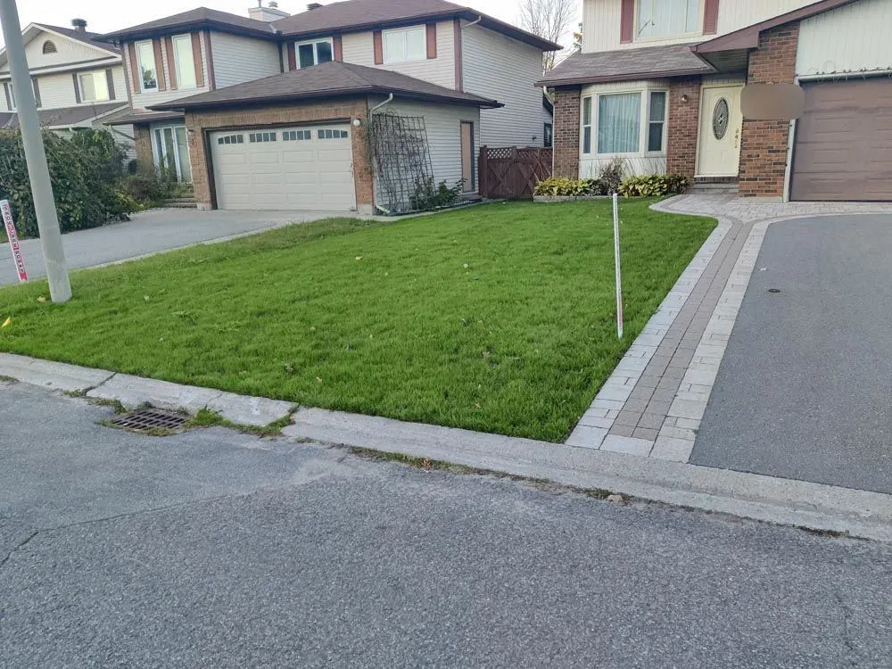 The same front lawn twenty-two days later, filled in and green, same paver border and curb