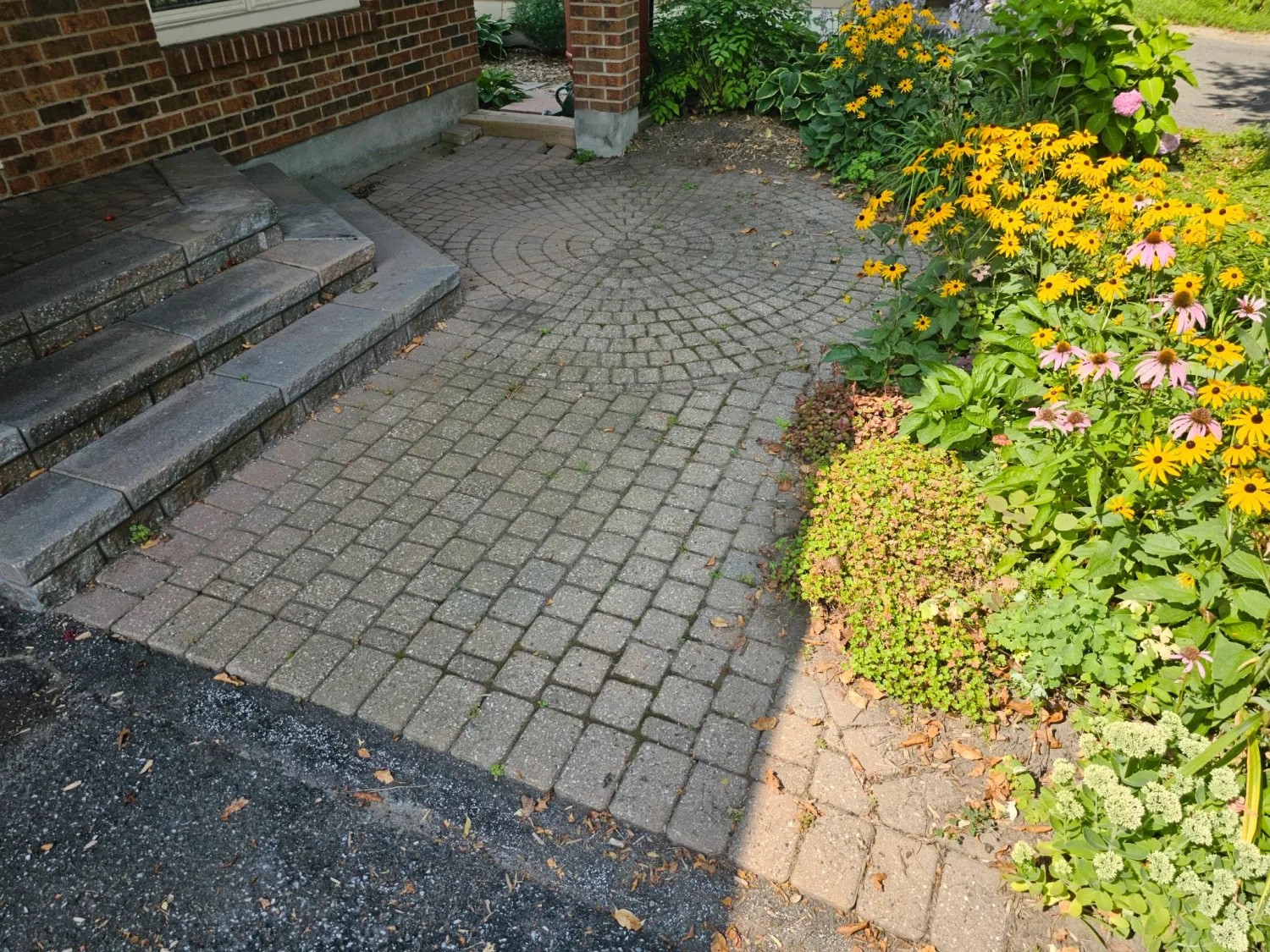 Front-entry walkway with circle inlay before restoration — faded pavers, mossy joints
