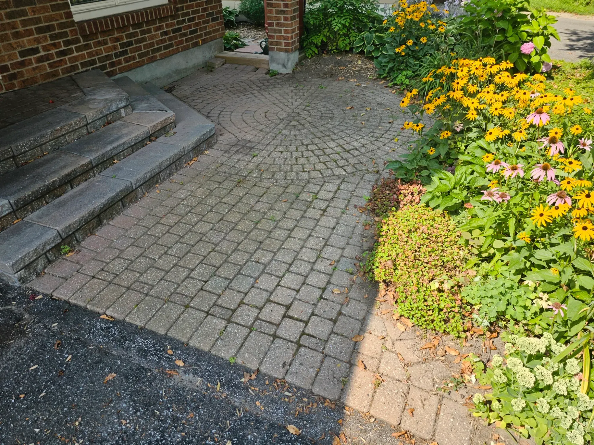 Front-entry walkway with circle inlay before restoration — faded pavers, mossy joints