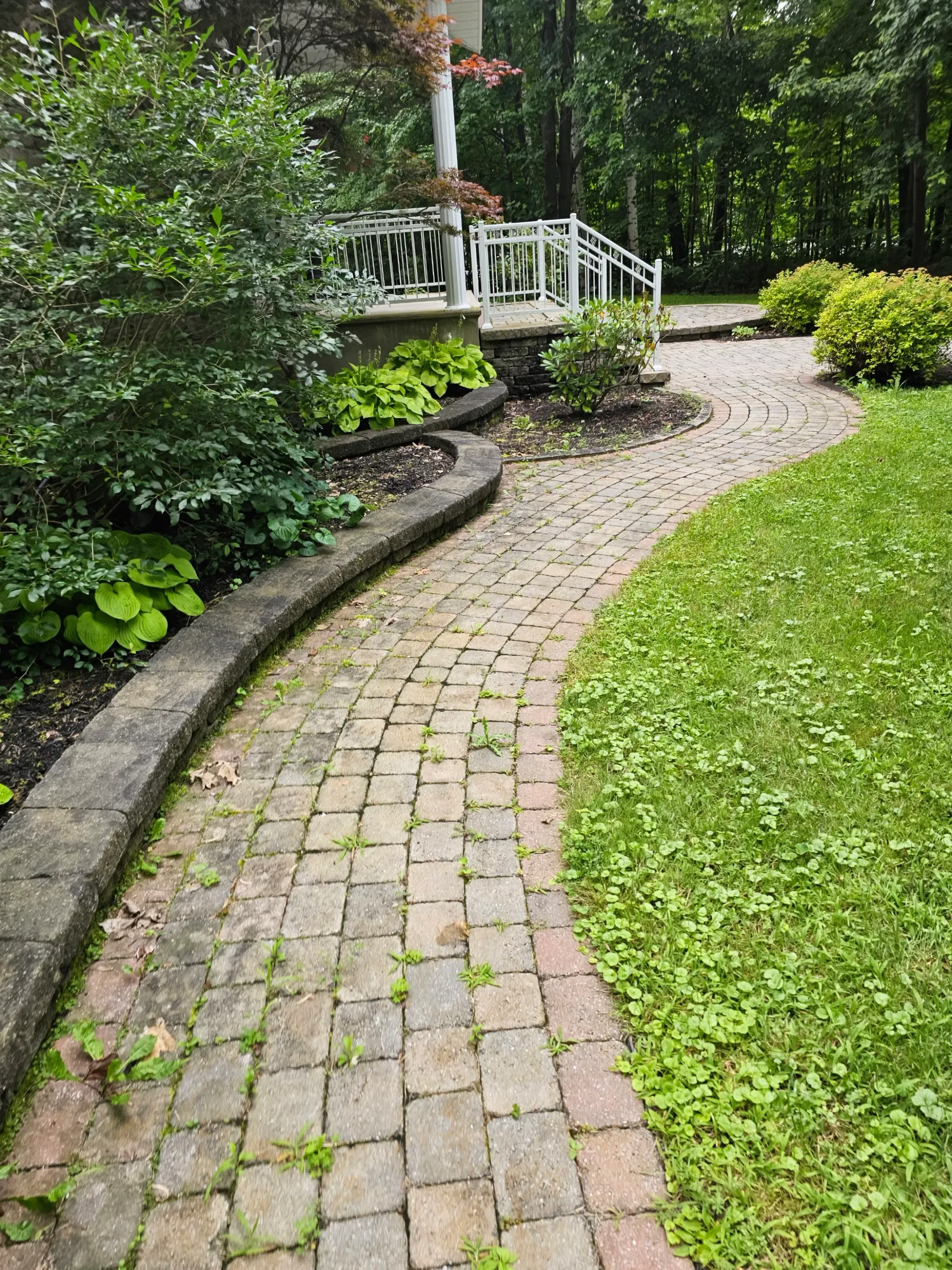 Curved walkway beside a garden wall with weeds in every joint
