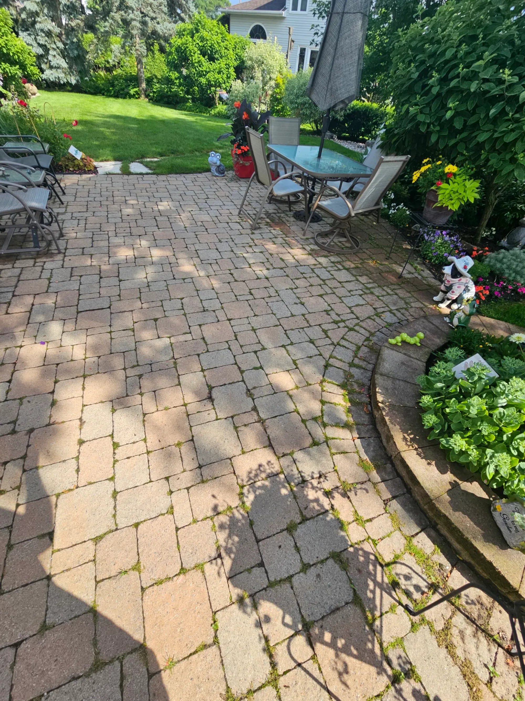 Backyard patio with dining set — moss-filled joints and faded pavers