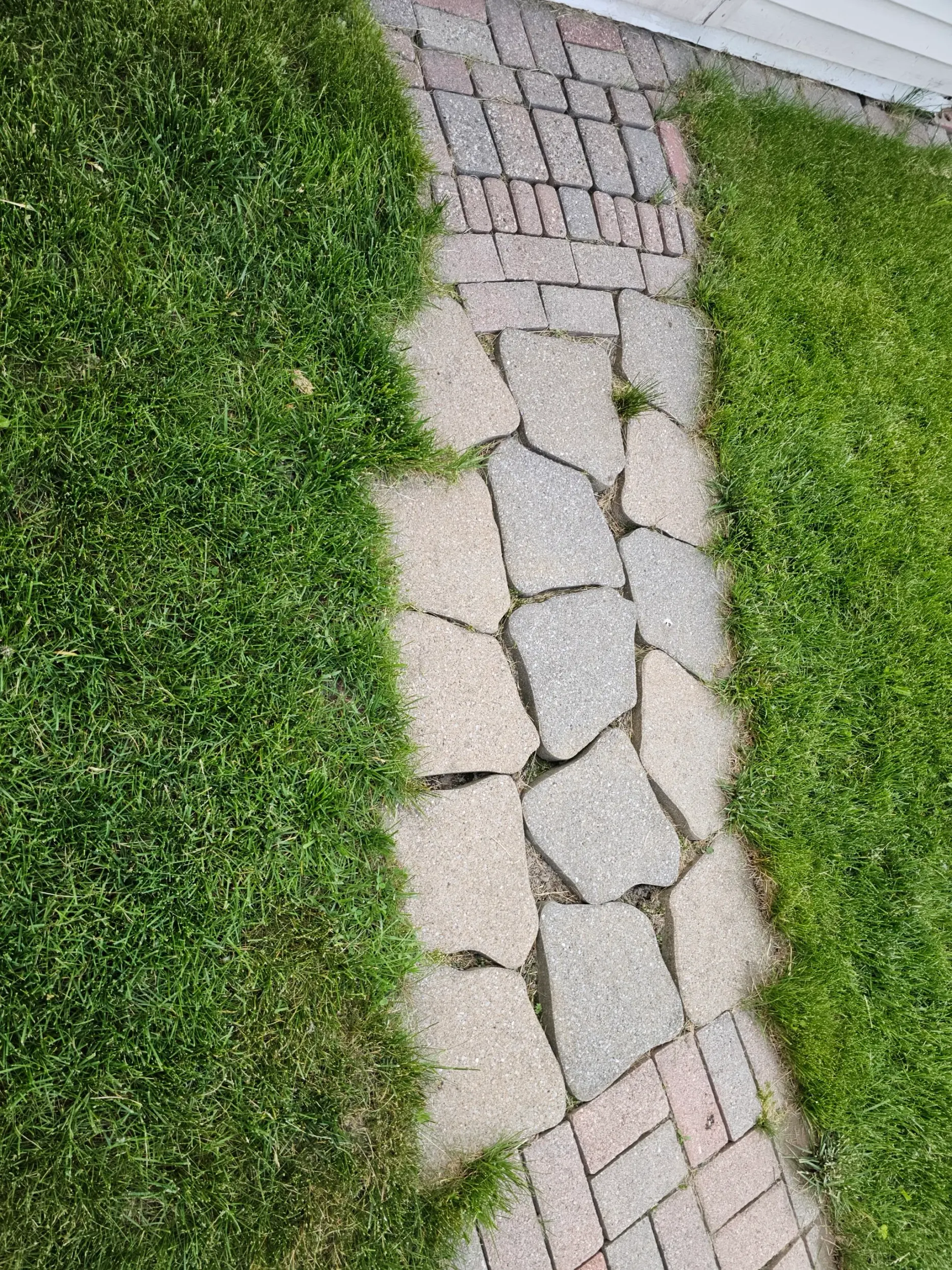 Flagstone path with stones heaved out of level and wide open gaps between them, grass growing through