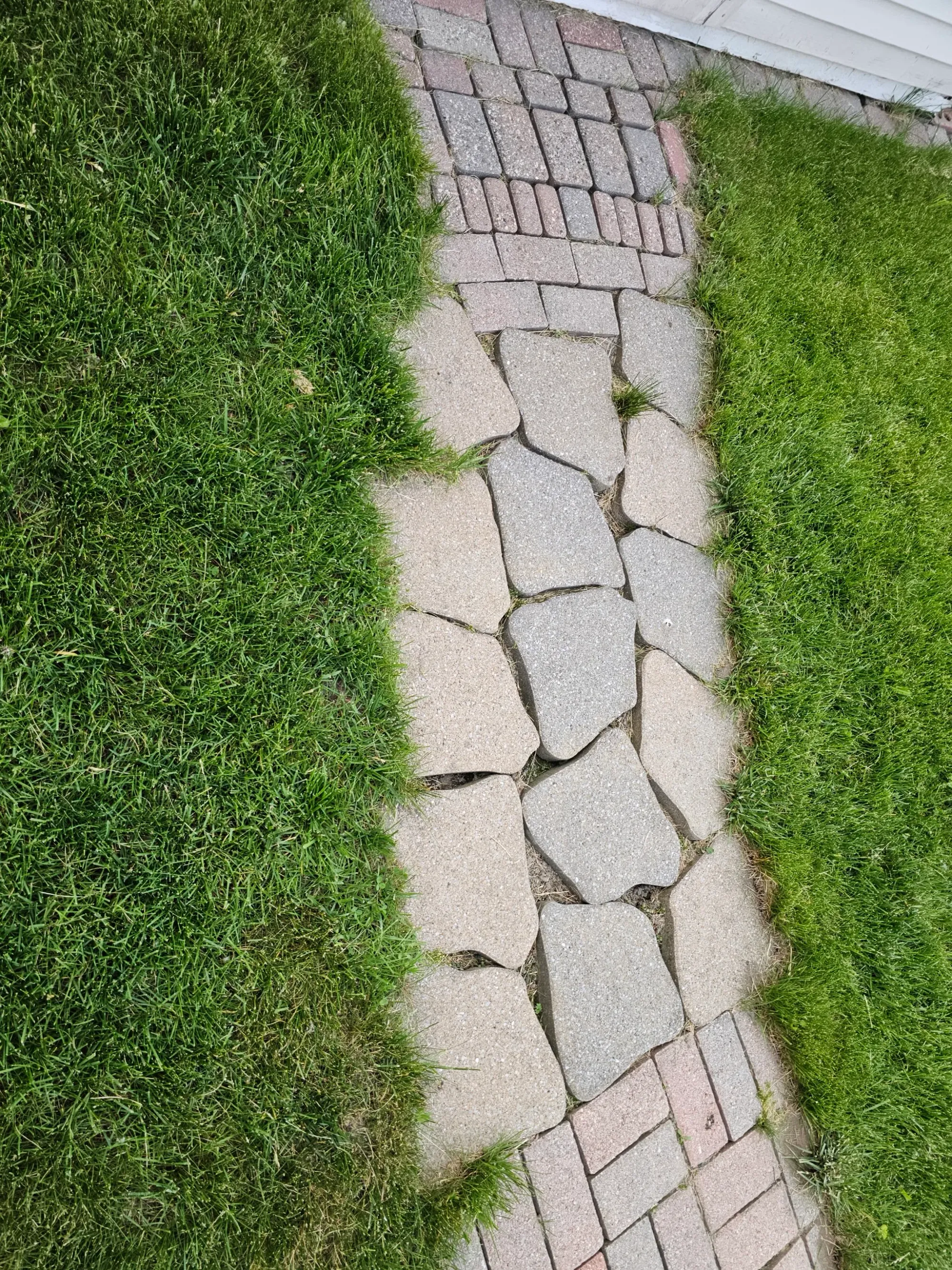 Flagstone path with heaved stones and wide open gaps, grass invading between them