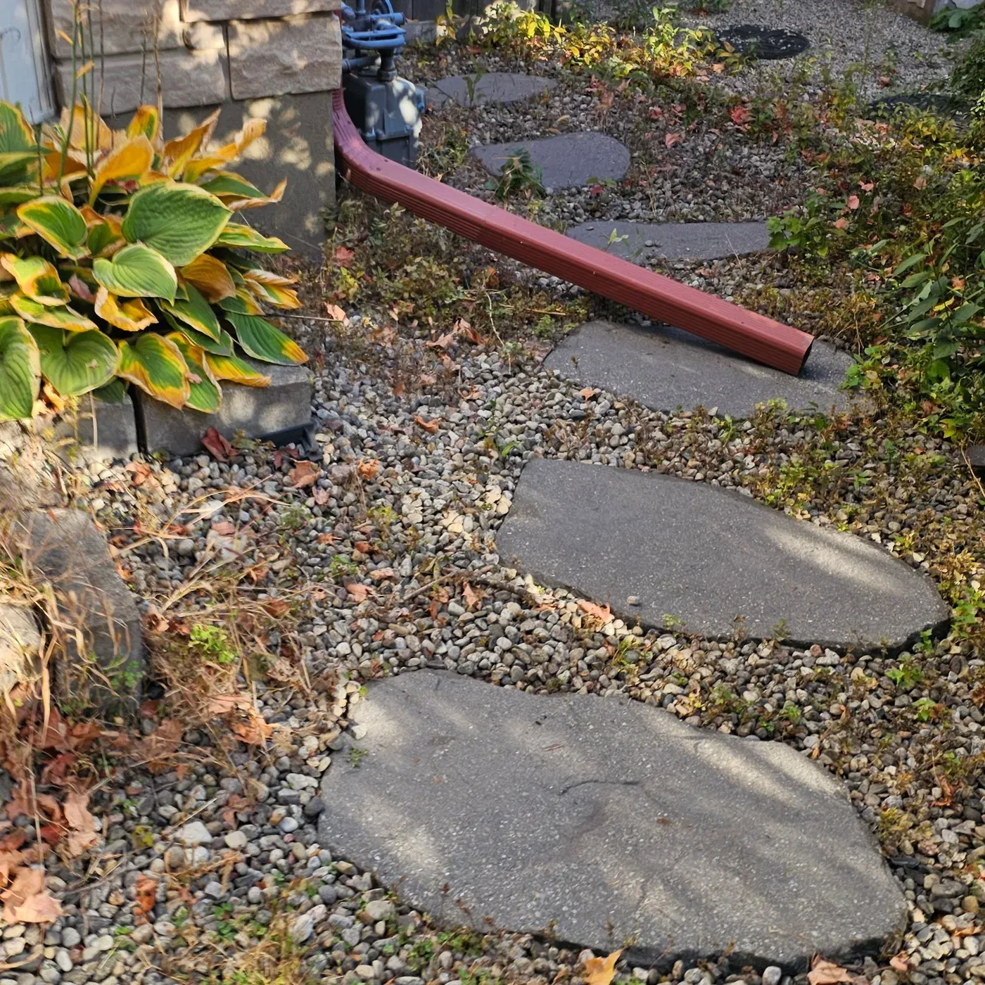 A narrow river rock strip along a house wall with a red downspout extension and stepping stones, weeds throughout