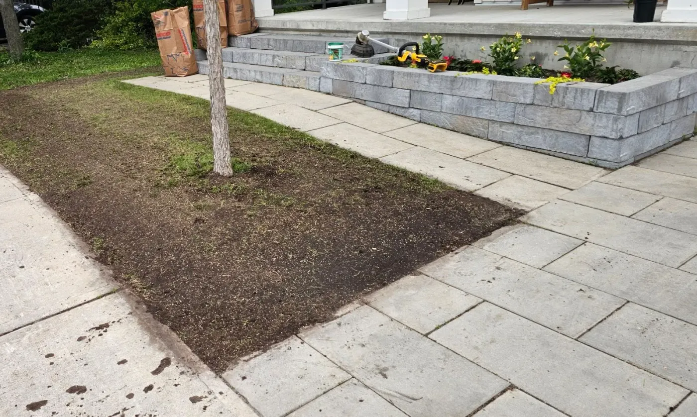 Boulevard strip fully topdressed with seed visible, crisp edges, tools staged on the raised planter wall