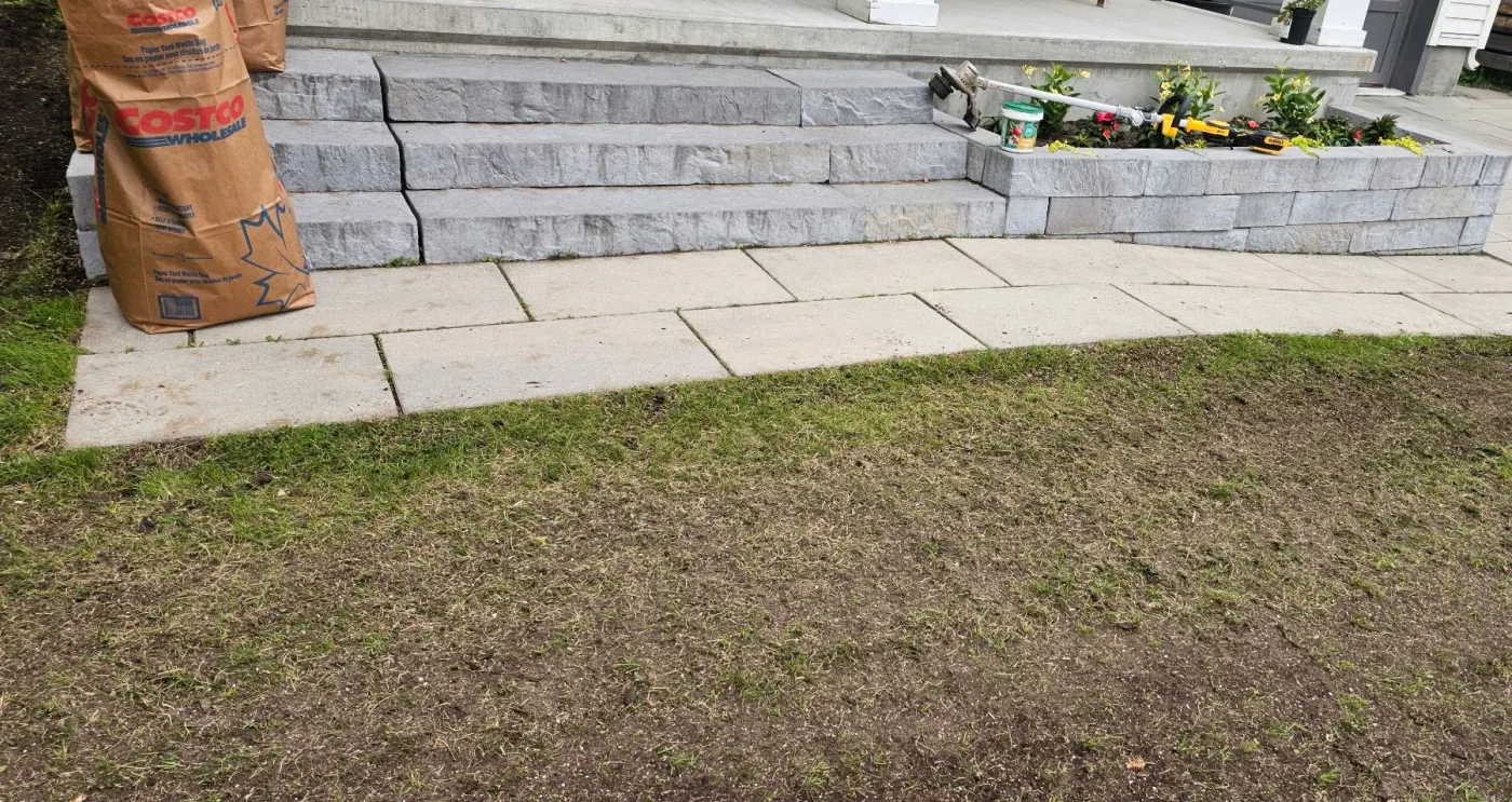 Close-up of grass seed sitting in fresh topdressing beside stacked-block steps