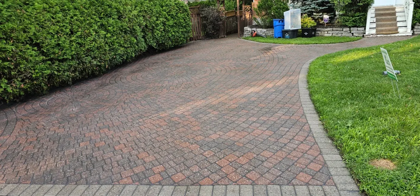 The same driveway from the same vantage, freshly re-sanded with the joints sealed by new polymeric sand, surface still wet — weed-free, crisp lawn edge