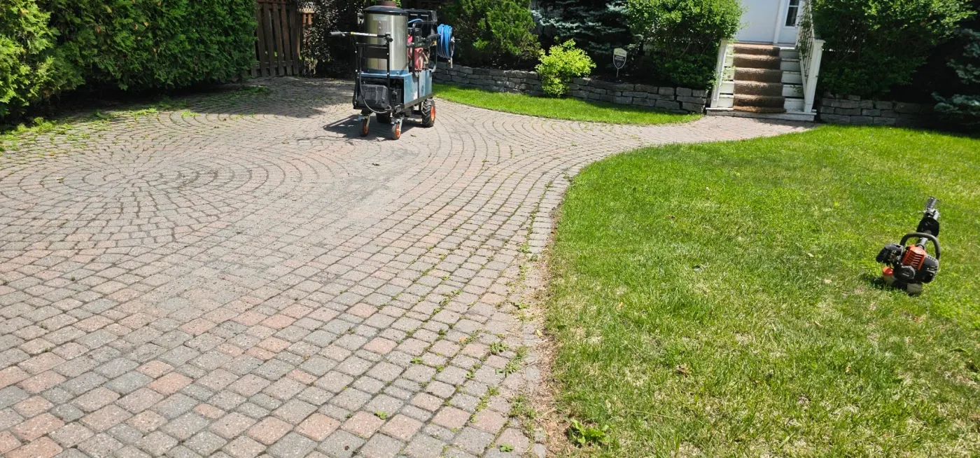 Circle-fan interlock driveway with weeds established in the joints, the saturated-steam unit parked on the surface
